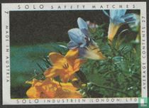 Solo safety matches London