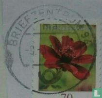 Briefcentrum 94