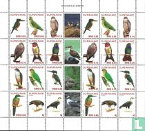 Vogels kopen
