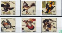 Audubon -Vögel kaufen