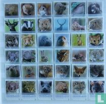 Zoogdieren in Nederland kopen