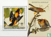 Audubon - Vögel kaufen