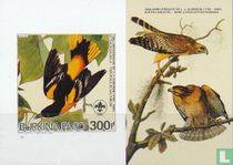 Audubon - Vögel kaufen