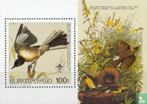 Audubon - Vögel kaufen