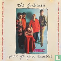 You've Got  Your Troubles