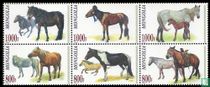 Paardenrassen kopen