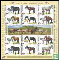 Paardenrassen kopen