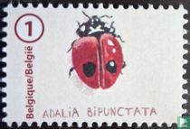 Ladybugs