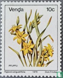 Blumen kaufen