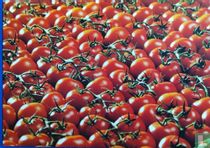 Tomaten  acheter