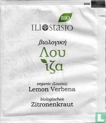 Lemon Verbena