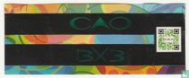 CAO BX3