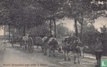 Noord - Brabantsch type achte 't kasteel