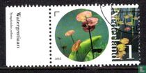 Flora en fauna van het Naardermeer kopen