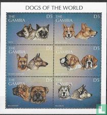 Chiens
