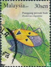 Insecten