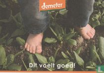 demeter "Dit voelt goed!"