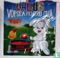 Gallus - Colorant rouge pour œufs - Colorant rouge pour œufs