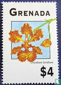 Orchideen kaufen