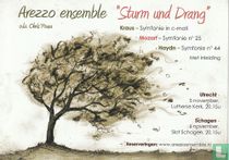 Arezzo ensemble "Sturm und Drang"