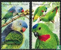 Parrots