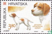 Croatian dogs