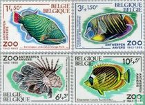 Poissons