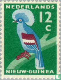 Blaubrust-Krontaube kaufen