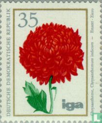 Fleurs