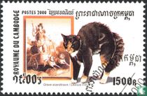 Chat acheter