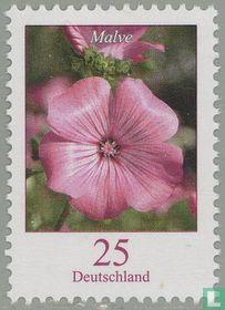Malva