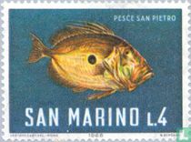 Sea animals for sale