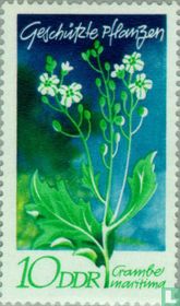 Plantes protégées acheter