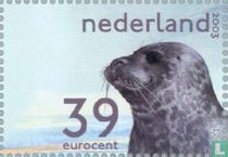 Het Nederlandse Wad