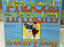 A salty dog