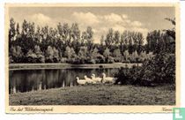 Wilhelminapark, Hoorn (NH)