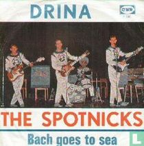 Drina