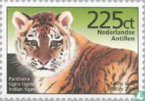 Tigre