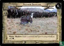 Pelennor Grassland