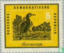 Oiseaux