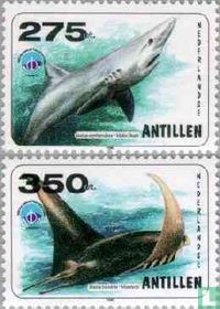 Année internationale de l'océan