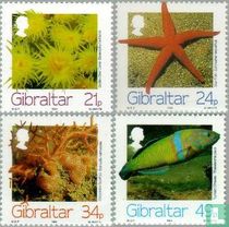 Animaux marins acheter