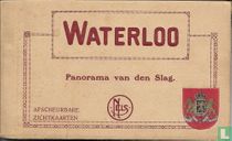Waterloo, panorama van den slag