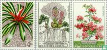 Floralies gantoises acheter