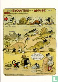 Evolution of a Mouse