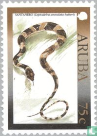 Lézards