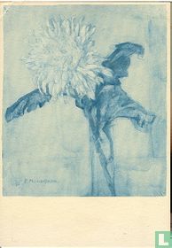 Chrysant ca 1900