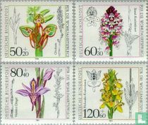 Orchidées acheter