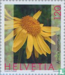 Plantes acheter