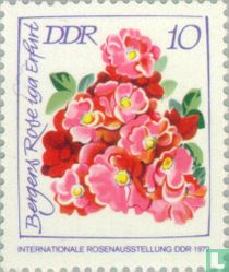 Exposition de roses acheter